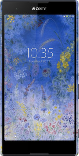 3D пластиковий глянцевий чехол Білокур для Sony Xperia T2 Ultra Dual D5322 - 5908c-92 изображение 