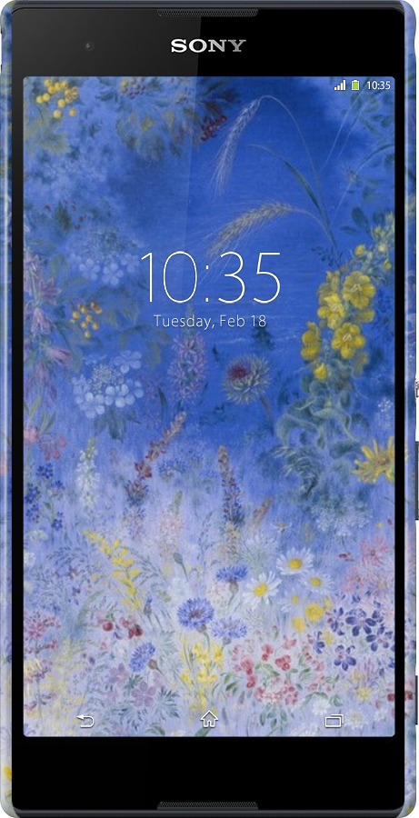 3D пластиковий глянцевий чехол Білокур для Sony Xperia T2 Ultra Dual D5322 - 5908c-92 изображение 