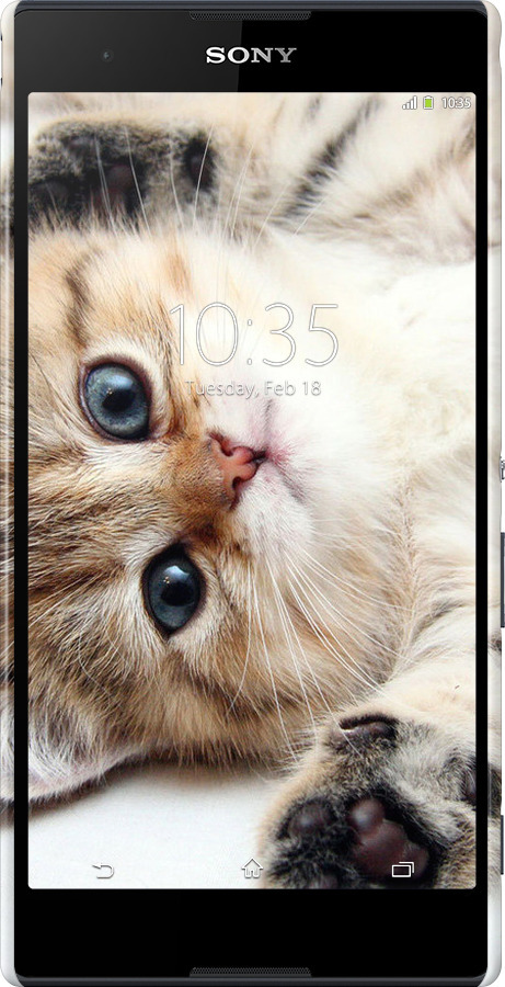 3D пластиковий глянцевий чехол Котик для Sony Xperia T2 Ultra Dual D5322 - 6024c-92 изображение 