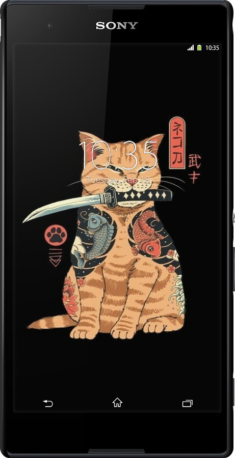 3D пластиковый глянцевый чехол Catana для Sony Xperia T2 Ultra Dual D5322 - 6262c-92 изображение 