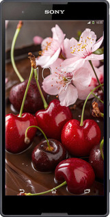 Силиконовый чехол Вишня в шоколаде для Sony Xperia T2 Ultra Dual D5322 - 6698u-92 изображение 