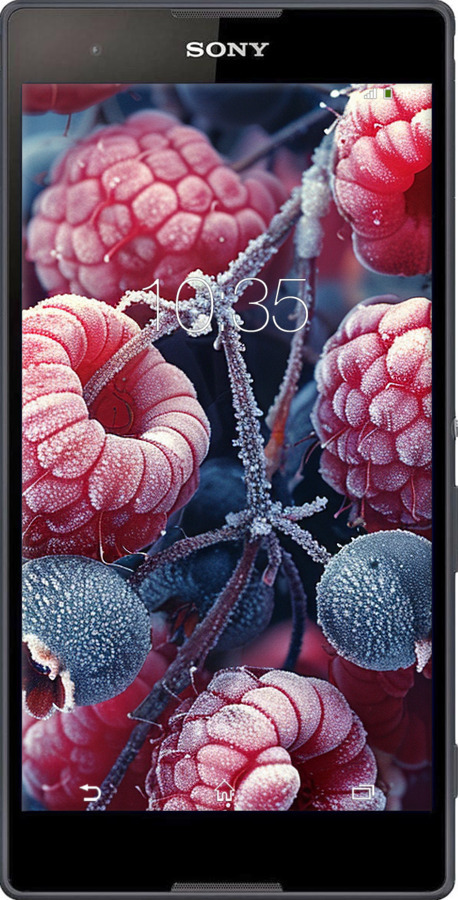 Силиконовый чехол Морозные ягоды для Sony Xperia T2 Ultra Dual D5322 - 6033u-92 изображение 