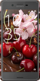 3D пластиковий матовий чехол Вишня у шоколаді для Sony Xperia X F5122 - 6698m-446 изображение 