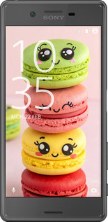 2D пластиковый чехол Печенье для Sony Xperia X F5122 - 6693t-446 изображение 