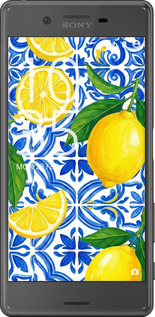 2D пластиковый чехол Grocery Girl Italian Summer для Sony Xperia X F5122 - 6766t-446 изображение 