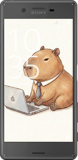 2D пластиковый чехол Funny Capybara CEO Working для Sony Xperia X F5122 - 6777t-446 изображение 