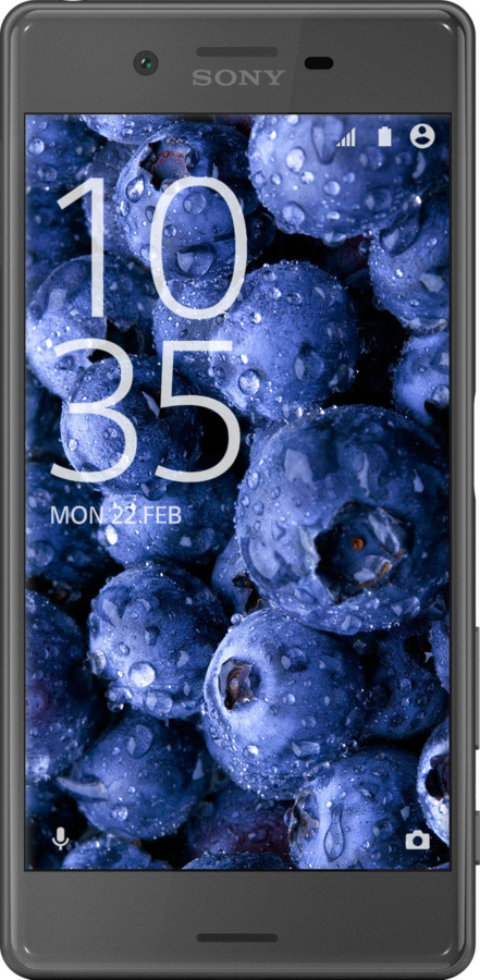 2D пластиковый чехол Голубика для Sony Xperia X F5122 - 4459t-446 изображение 