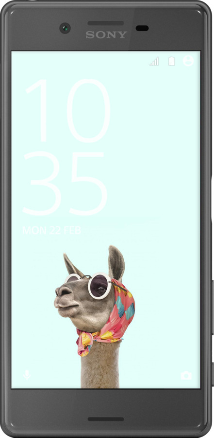 2D пластиковый чехол Модная лама для Sony Xperia X F5122 - 4479t-446 изображение 