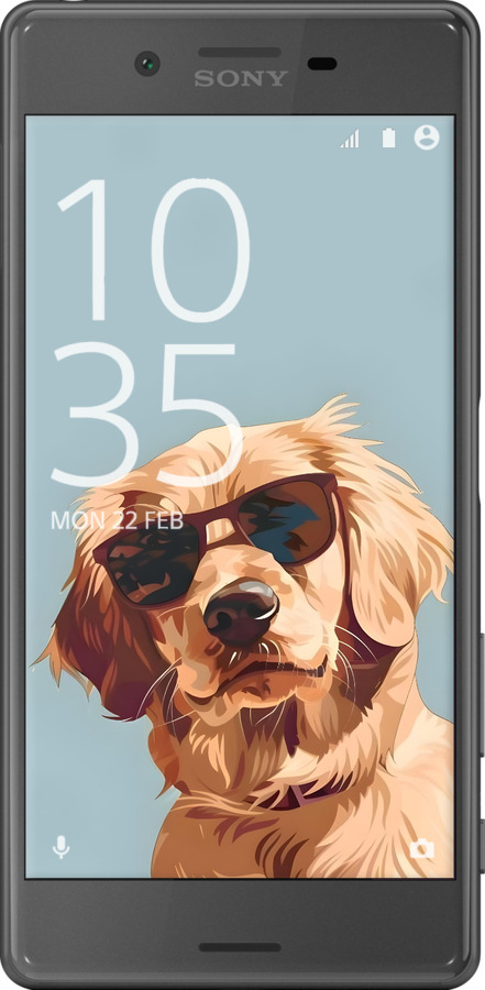 2D пластиковый чехол Пес в очках для Sony Xperia X F5122 - 6381t-446 изображение 
