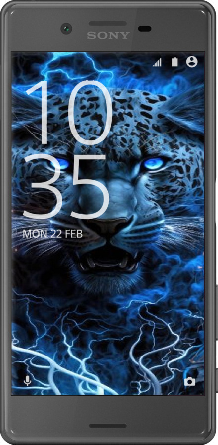 2D пластиковий чехол Крижаний леопард для Sony Xperia X F5122 - 6460t-446 изображение 