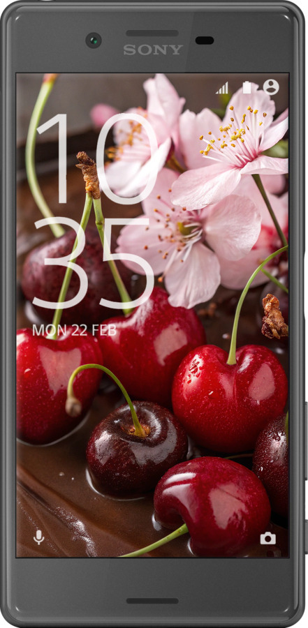 2D пластиковый чехол Вишня в шоколаде для Sony Xperia X F5122 - 6698t-446 изображение 