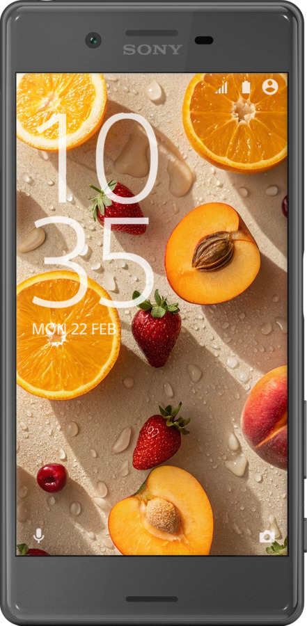 2D пластиковый чехол Фрукты 3 для Sony Xperia X F5122 - 6703t-446 изображение 