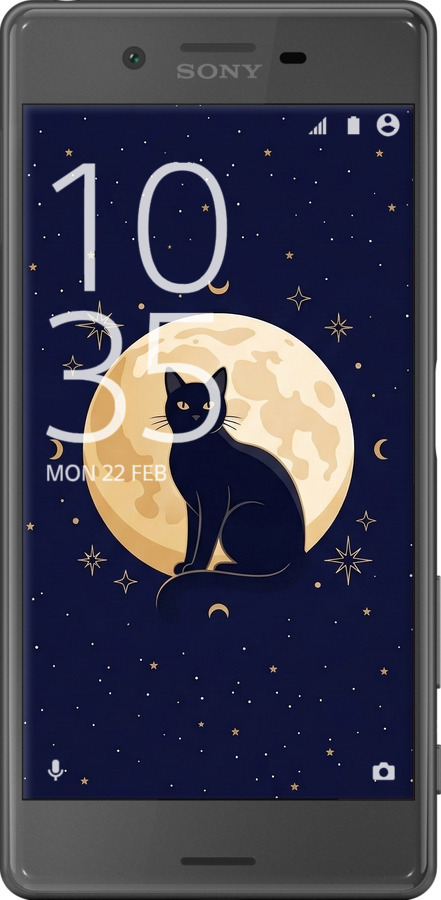 2D пластиковый чехол Cute Cat Celestial/Witchy для Sony Xperia X F5122 - 6787t-446 изображение 