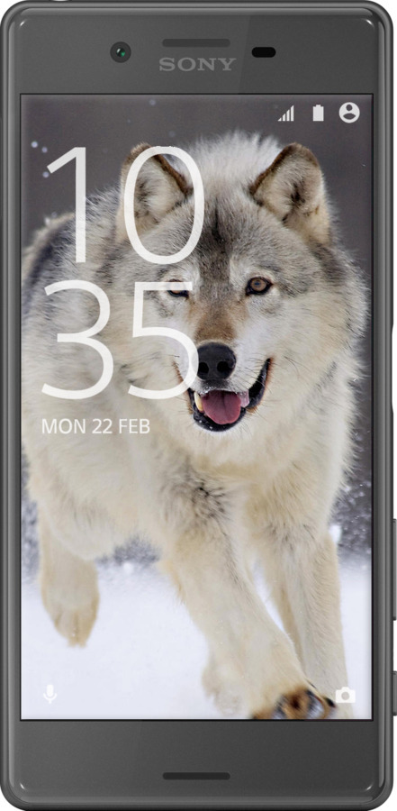 2D пластиковый чехол Бегущий волк для Sony Xperia X F5122 - 826t-446 изображение 