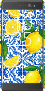 3D пластиковий глянцевий чехол Grocery Girl Italian Summer для Sony Xperia XA Ultra Dual F3212 - 6766c-391 изображение 