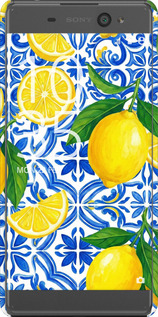 3D пластиковий матовий чехол Grocery Girl Italian Summer для Sony Xperia XA F3112 - 6766m-399 изображение 