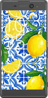 2D пластиковый чехол Grocery Girl Italian Summer для Sony Xperia XA F3112 - 6766t-399 изображение 