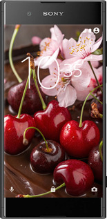 Силіконовий чехол Вишня у шоколаді для Sony Xperia XA1 Plus G3412 - 6698u-1129 изображение 