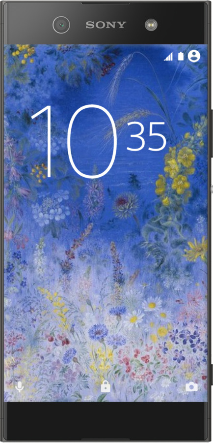 2D пластиковий чехол Білокур для Sony Xperia XA1 G3112 - 5908t-964 изображение 