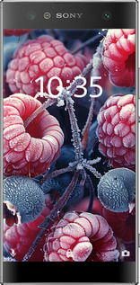 Силіконовий чехол Морозні ягоди для Sony Xperia XA2 Ultra H4213 - 6033u-1366 изображение 