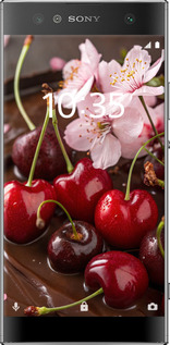 Силиконовый чехол Вишня в шоколаде для Sony Xperia XA2 Ultra H4213 - 6698u-1366 изображение 