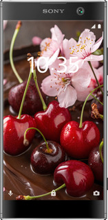 Силиконовый чехол Вишня в шоколаде для Sony Xperia XA2 H4113 - 6698u-1357 изображение 