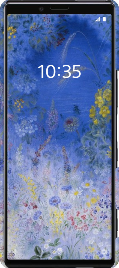 3D пластиковый матовый чехол Билокур для Sony Xperia 1 J9110 - 5908m-1760 изображение 
