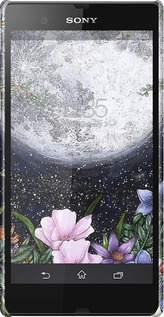 3D пластиковый матовый чехол Полночь в саду для Sony Xperia Z C6602 - 6259m-40 изображение 