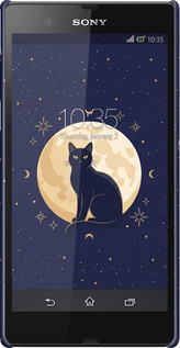 3D пластиковый матовый чехол Cute Cat Celestial/Witchy для Sony Xperia Z C6602 - 6787m-40 изображение 
