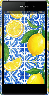 3D пластиковый глянцевый чехол Grocery Girl Italian Summer для Sony Xperia Z1 C6902 - 6766c-38 изображение 