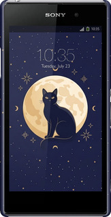 3D пластиковый матовый чехол Cute Cat Celestial/Witchy для Sony Xperia Z1 C6902 - 6787m-38 изображение 
