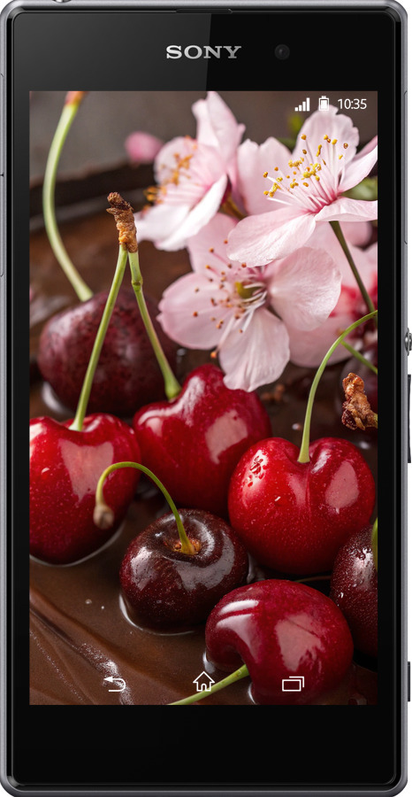 Силиконовый чехол Вишня в шоколаде для Sony Xperia Z1 C6902 - 6698u-38 изображение 