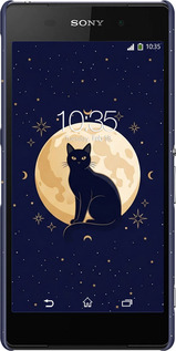 3D пластиковый матовый чехол Cute Cat Celestial/Witchy для Sony Xperia Z2 D6502/D6503 - 6787m-43 изображение 