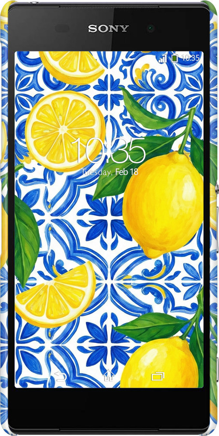 3D пластиковий матовий чехол Grocery Girl Italian Summer для Sony Xperia Z2 D6502/D6503 - 6766m-43 изображение 