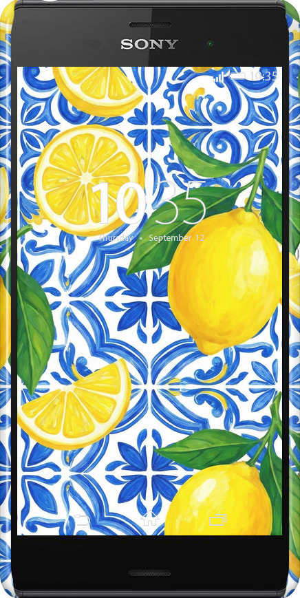 3D пластиковый глянцевый чехол Grocery Girl Italian Summer для Sony Xperia Z3 dual D6633 - 6766c-59 изображение 