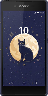 3D пластиковый матовый чехол Cute Cat Celestial/Witchy для Sony Xperia Z3+ Dual E6533 - 6787m-165 изображение 