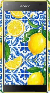 3D пластиковый матовый чехол Grocery Girl Italian Summer для Sony Xperia Z5 Compact E5823 - 6766m-322 изображение 