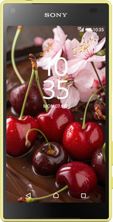 Силиконовый чехол Вишня в шоколаде для Sony Xperia Z5 Compact E5823 - 6698u-322 изображение 