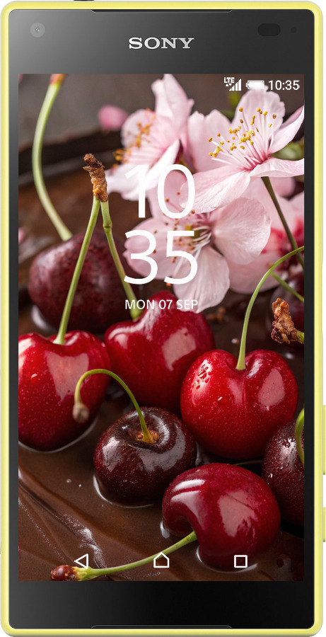 Силиконовый чехол Вишня в шоколаде для Sony Xperia Z5 Compact E5823 - 6698u-322 изображение 