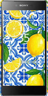 3D пластиковый глянцевый чехол Grocery Girl Italian Summer для Sony Xperia Z5 Premium E6883 - 6766c-345 изображение 