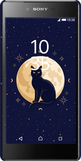 3D пластиковый глянцевый чехол Cute Cat Celestial/Witchy для Sony Xperia Z5 Premium E6883 - 6787c-345 изображение 