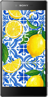 2D пластиковий чехол Grocery Girl Italian Summer для Sony Xperia Z5 Premium E6883 - 6766t-345 изображение 