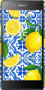 3D пластиковый матовый чехол Grocery Girl Italian Summer для Sony Xperia Z5 E6633 - 6766m-274 изображение 