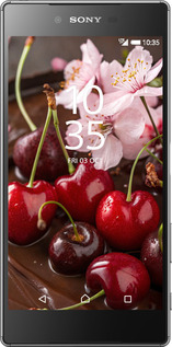 2D пластиковий чехол Вишня у шоколаді для Sony Xperia Z5 E6633 - 6698t-274 изображение 