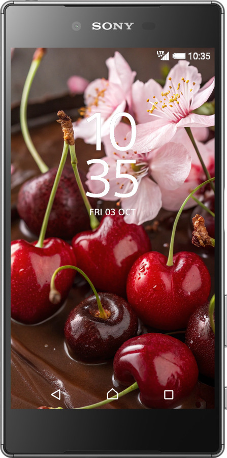 2D пластиковий чехол Вишня у шоколаді для Sony Xperia Z5 E6633 - 6698t-274 изображение 