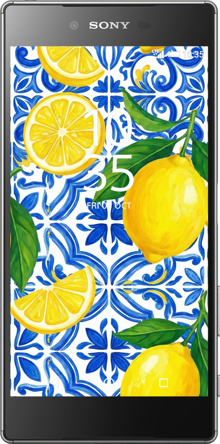 Силиконовый чехол Grocery Girl Italian Summer для Sony Xperia Z5 E6633 - 6766u-274 изображение 