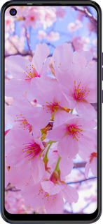 TPU чехол Сакура для Tecno Spark 5 Pro KD7 - 6029b-2445 изображение 
