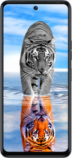 TPU чехол Тигр для Tecno Camon 18p CH7n - 6016b-2525 изображение 
