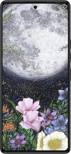 TPU чехол Полночь в саду II для Tecno Camon 30 4g - 6424b-3712 изображение 