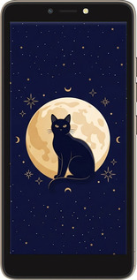 TPU чехол Cute Cat Celestial/Witchy для Tecno Pop 2F B1F - 6787b-2391 изображение 
